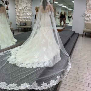 Brida dress and vail